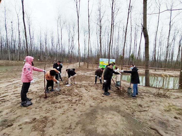 圖片2.png 圖片2.png